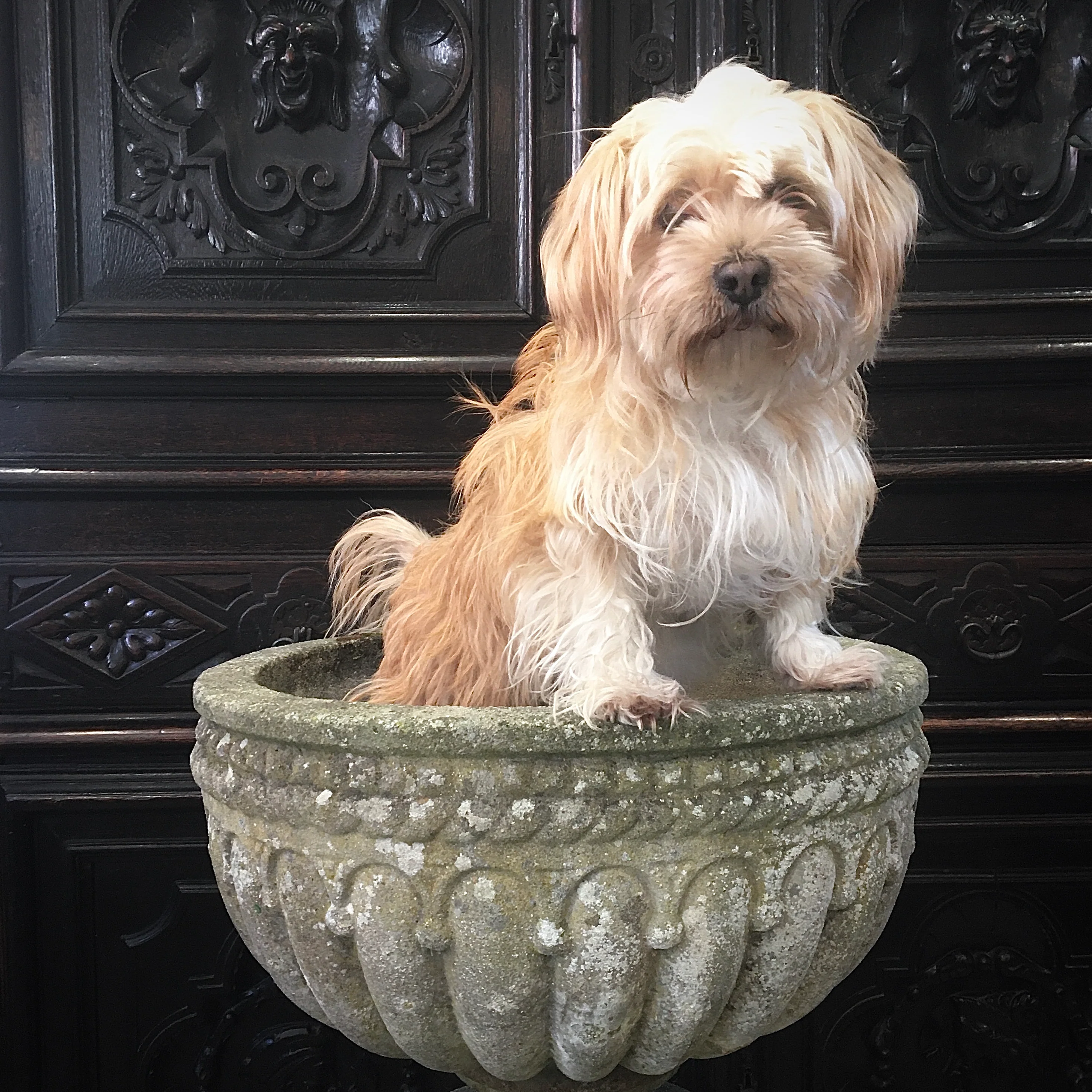 Early 20th Century Composite Stone Urn & Plinth - Image 3